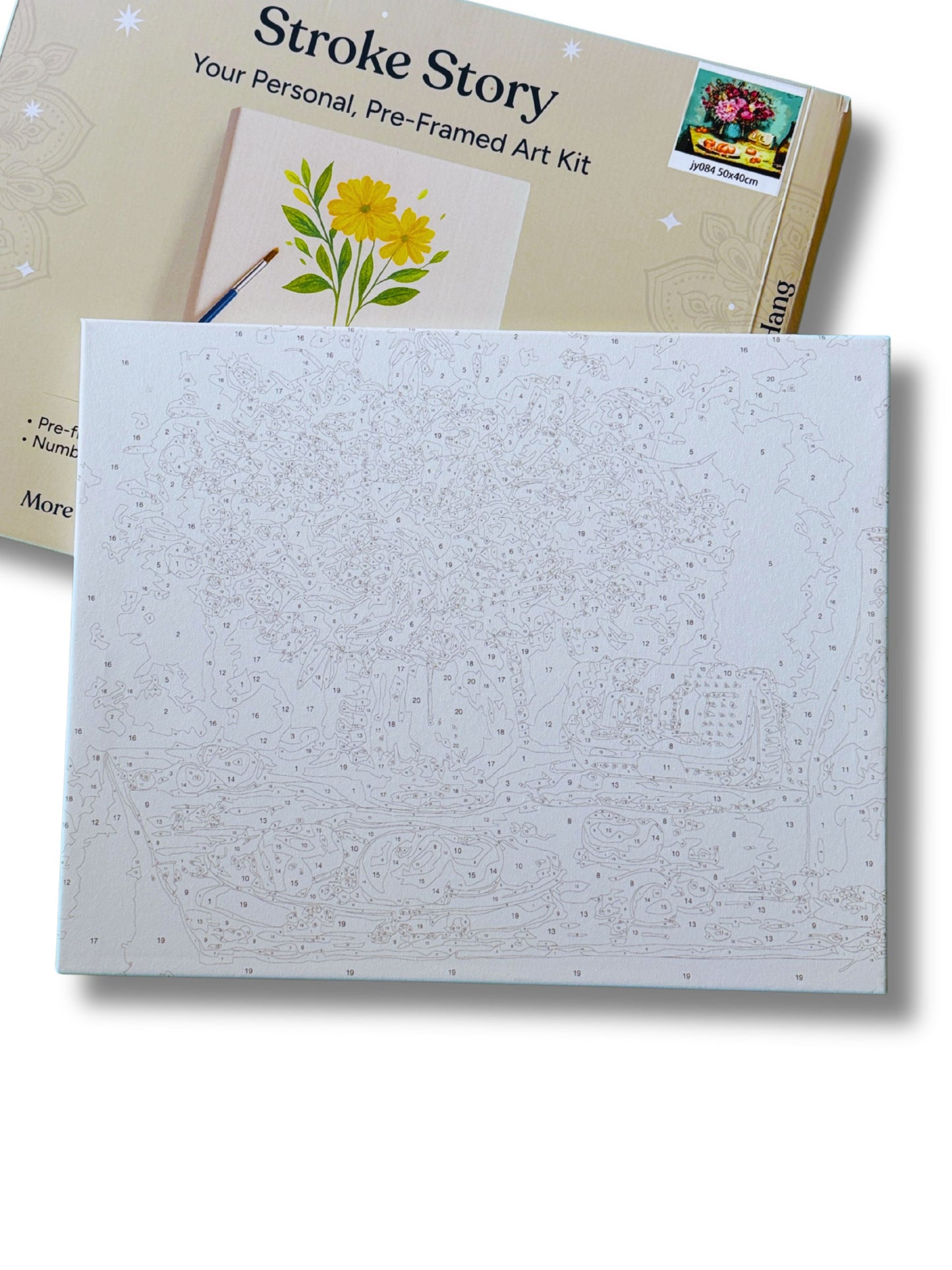box-content-canvas